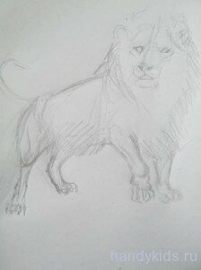 handykidslessons lionking 011 Нарисуем льва