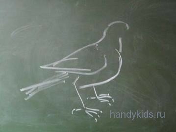 handykids- animal 077 Рисуем голубя.