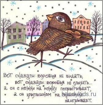 sparrow Воробей