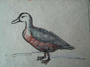 Учимся рисовать утку
