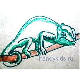 Рисунок хамелеон Хамелеон рисунок