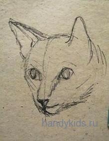 Рисуем голову кошечки