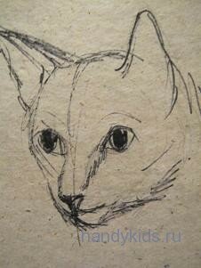 Как нарисовать голову кошки.