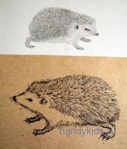 Рисунок ежа Картинка ёж