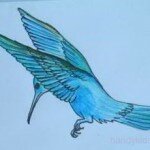 Раскраска с дорисовыванием Колибри