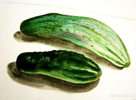 Огурцы рисунок Огурцы рисунок