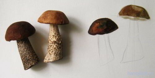 Рисуем грибы акварелью Рисуем грибы поэтапно