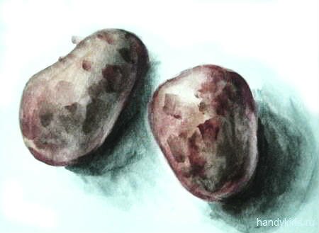 Картофель рисунок Рисунок Картошка