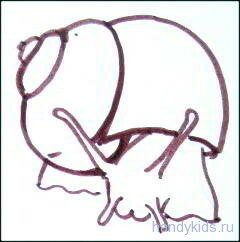 snail 019