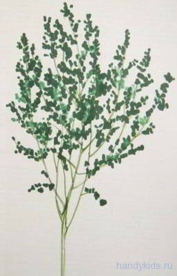 Trees 013