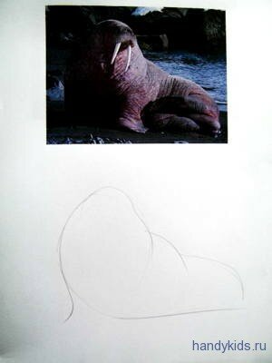 Рисуем моржа