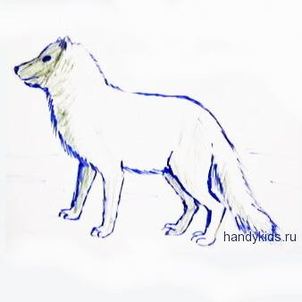 Песец-рисунок 8