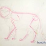 Рисуем кошек различных пород
